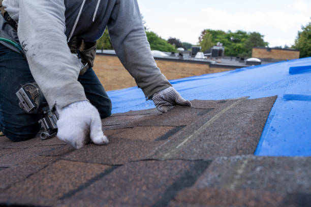 Best Storm Damage Roof Repair  in Moon Lake, FL