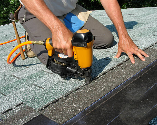 Best Roof Maintenance Services  in Moon Lake, FL