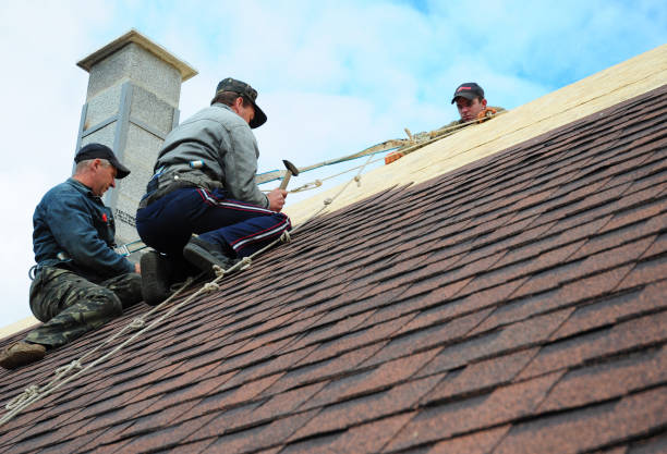 Best Local Roofing Companies  in Moon Lake, FL