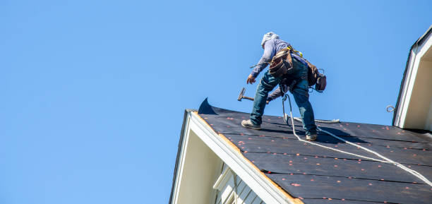 Professional Roofing Contractor in Moon Lake, FL